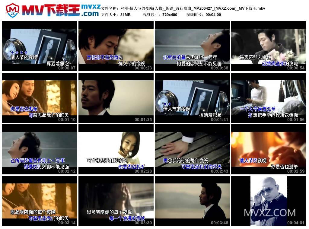 郝刚-情人节的夜晚(人物)_国语_流行歌曲_MA206427